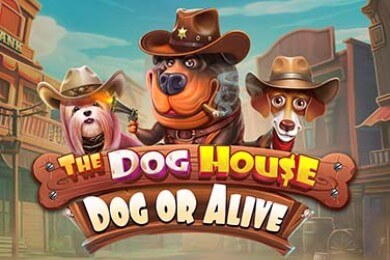 Играть в Thedoghousedogoralive Шот Казино